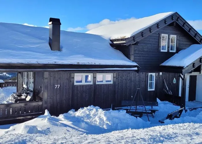 Wonderful With Amazing Mountain - View Ferienhaus Lifjell